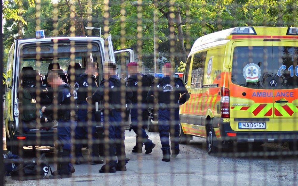 Összevagdosták magukat, tetőre másztak 