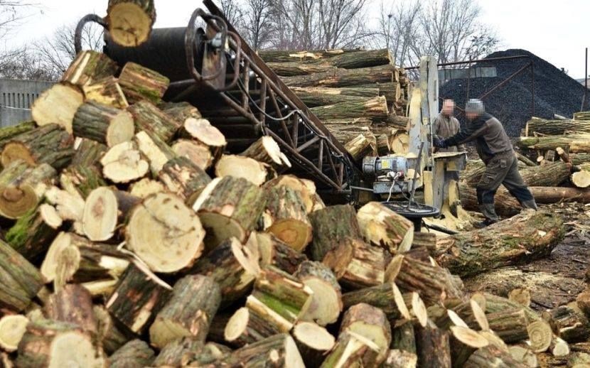 Tűzifa-csalót kaptak el a rendőrök