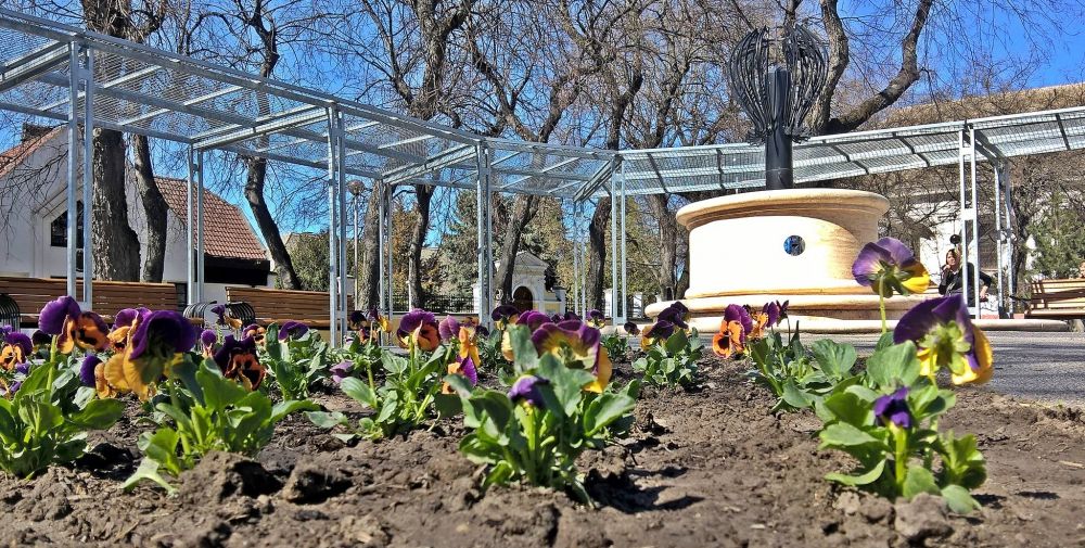 Elültetik, kitapossák