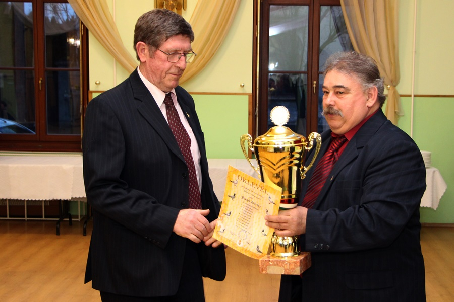 A halasi postagalambászok a legjobbak között (galéria)