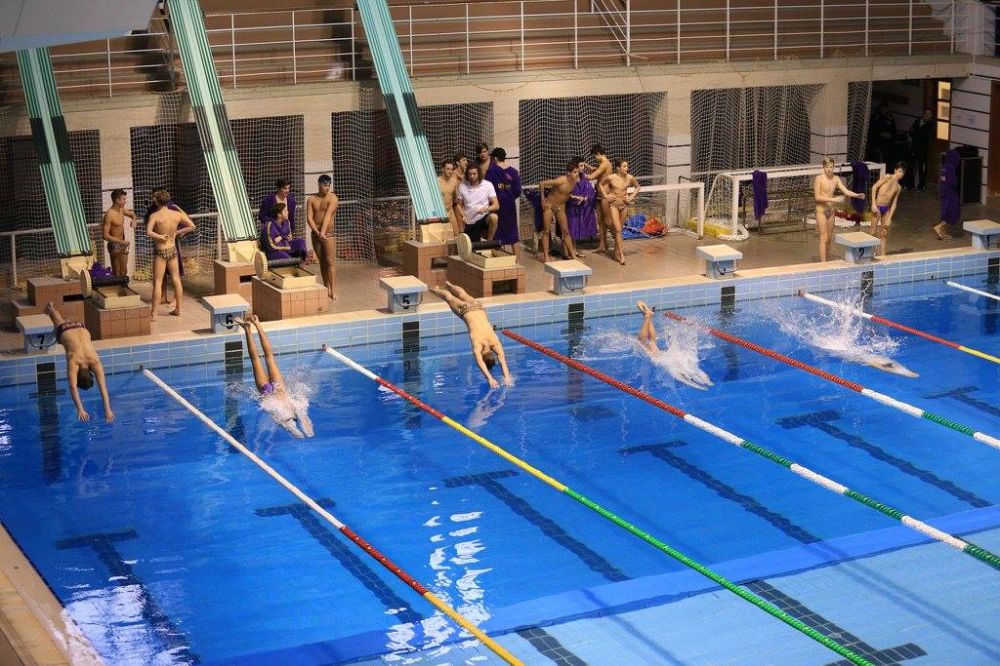 Négy úszóarany a Hátgerinc Kupáról