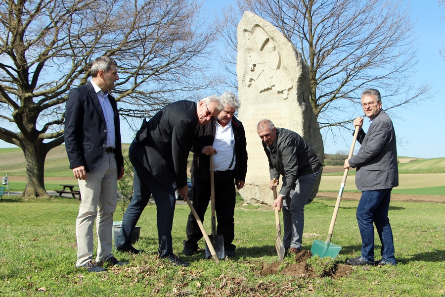 Fát ültettek a halasiak Dürnkrutban (galéria)