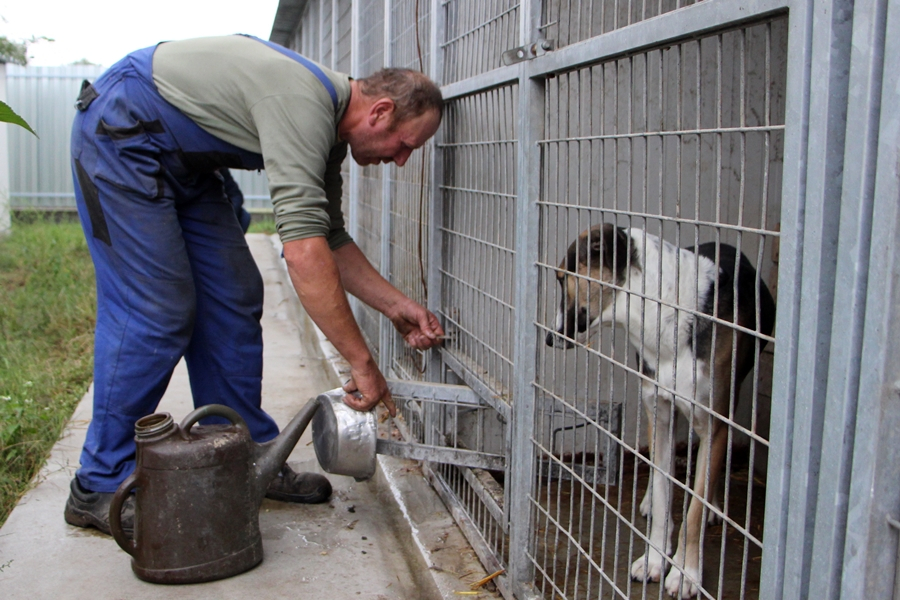 Pályáznak a gyepmesteri telep felújítására