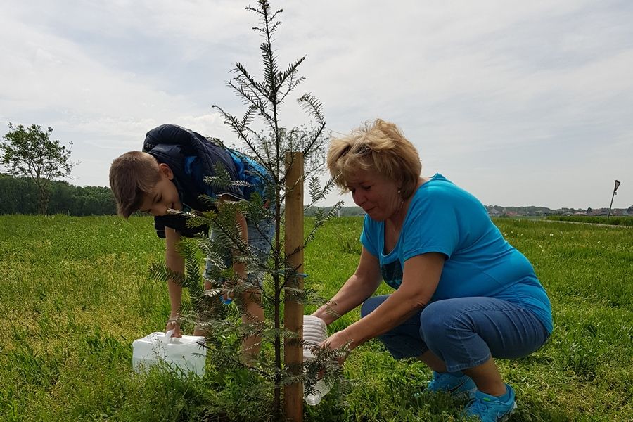 Halasiak locsoltak halasi fát Ausztriában