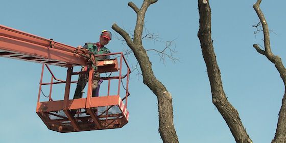 Figyelem! Forgalomkorlátozás lesz a Szász Károly utcában