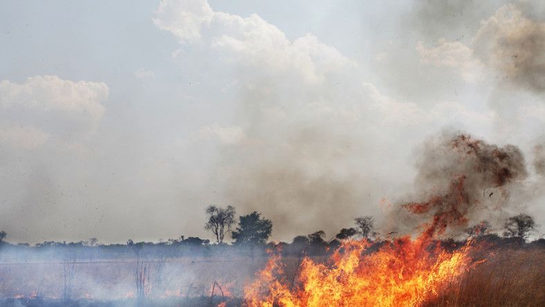 Kigyulladt az aljnövényzet a sín mellett