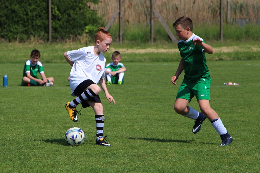 Kilenc sziládys pont a Kölyökligában (galéria)