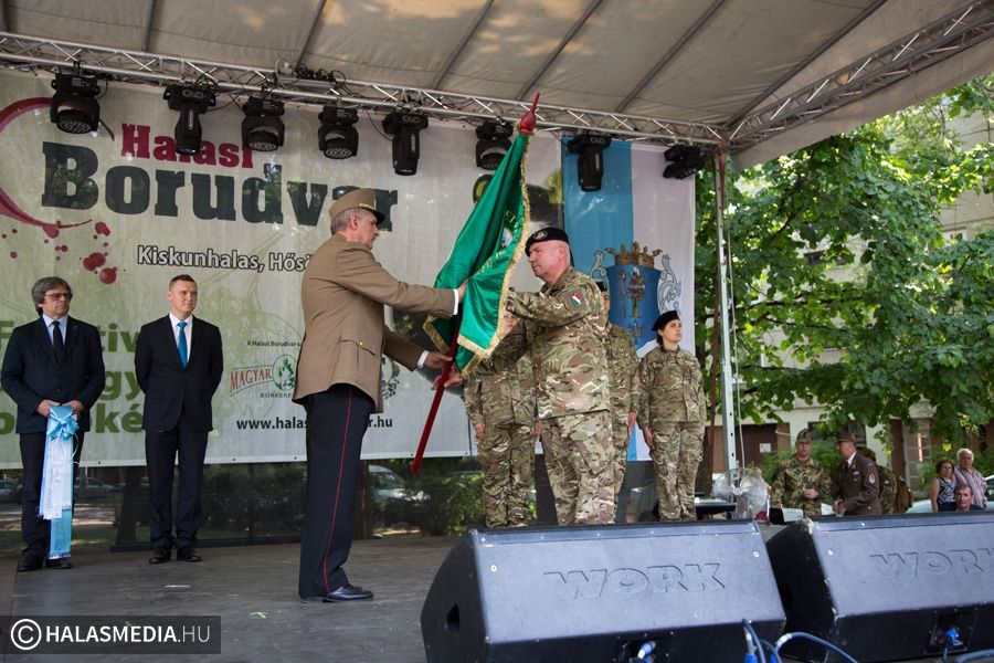 Zászlóadományozás, látványos katonai bemutatók Halason (galéria)