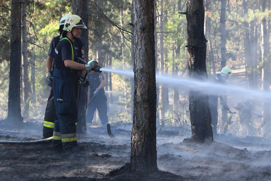 Figyelem! Tűzgyújtási tilalom van