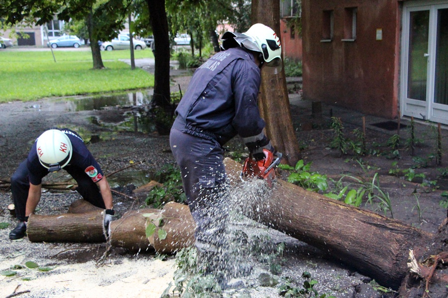 Fákat döntött a halasi vihar (galéria)
