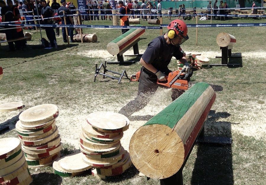 Halasiak a megyei tűzoltó favágóversenyen