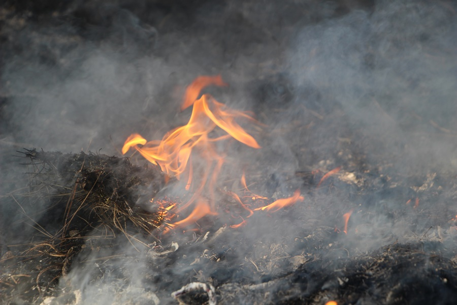 Figyelem! Tűzgyújtási tilalom lépett életbe