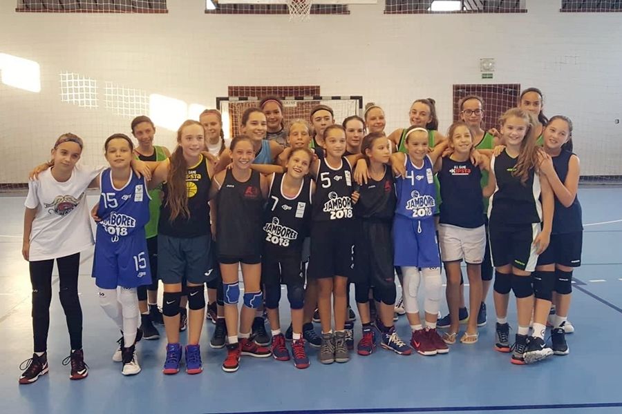 Viperák a Vadmacskák ellen