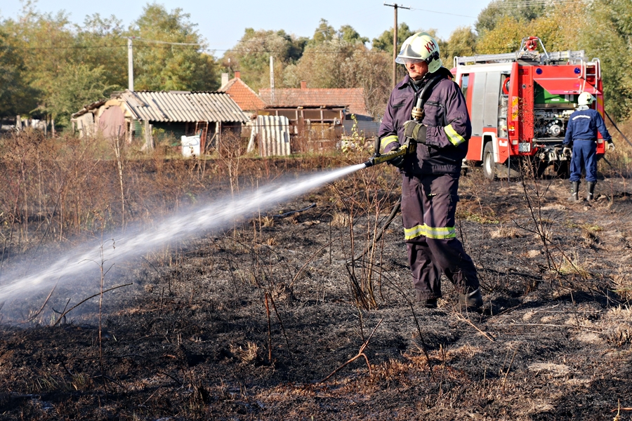 Kigyulladt az aljnövényzet a Kopolyai út mellett