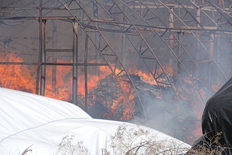 Halasi tűzoltók is oltják a lángoló félegyházi üzemcsarnokot