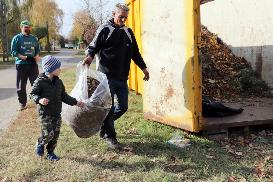 Elkezdődött az őszi levélgyűjtés
