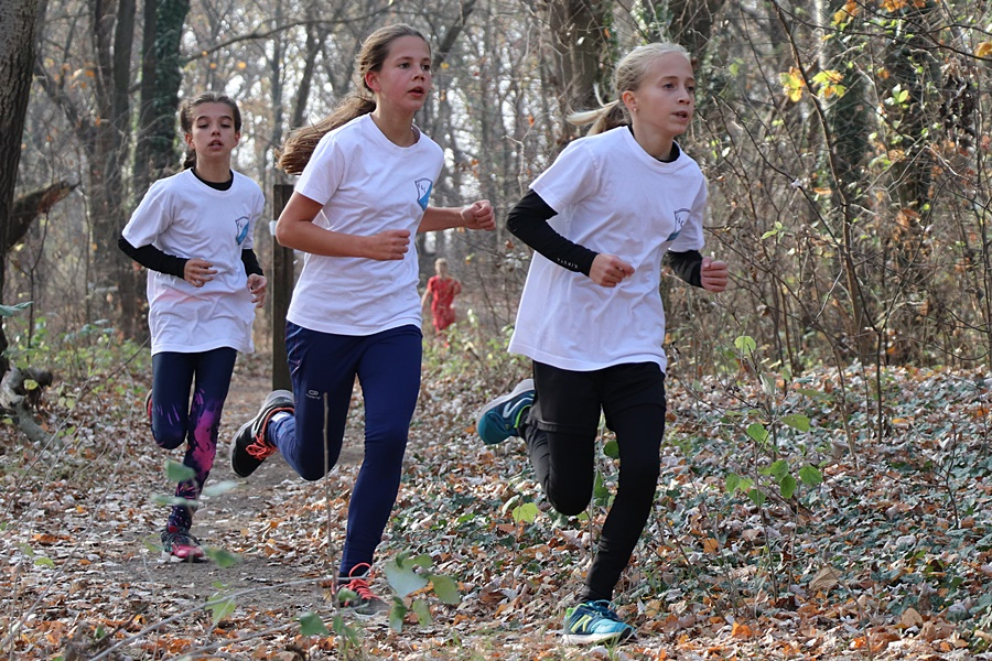 Mezeifutók népesítették be a Sóstó partját (galéria)