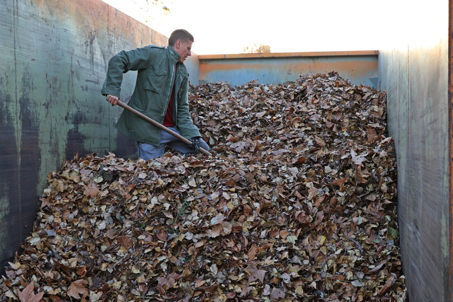 Gyűlik a konténerekbe a zöldhulladék