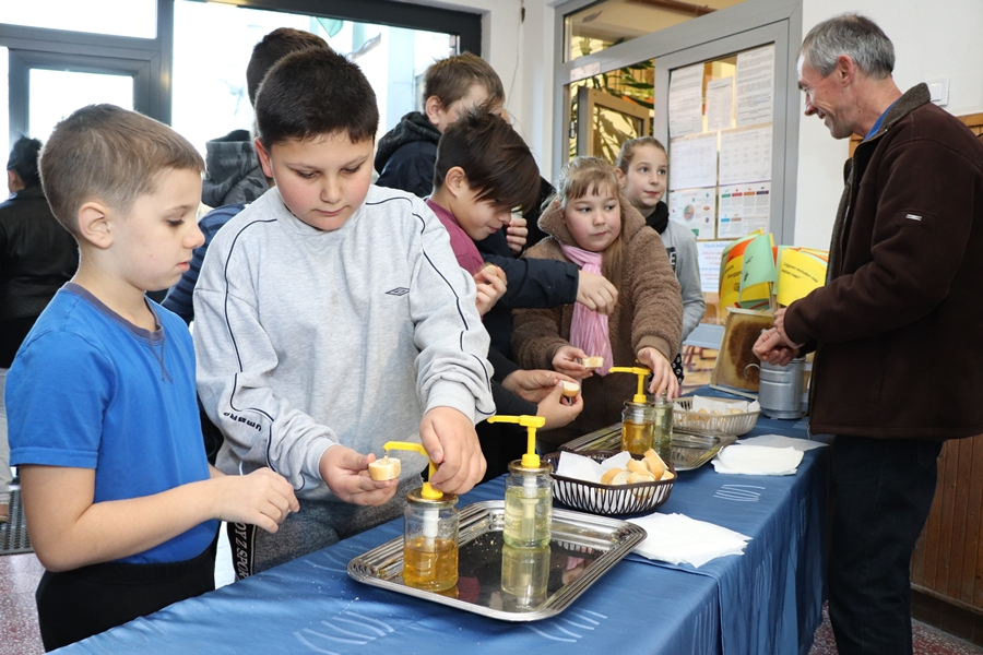 Mézédes volt a halasi reggel (galéria)