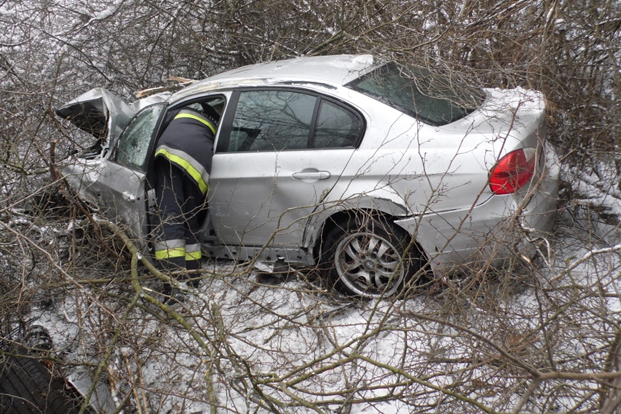 Fákat döntött ki egy BMW