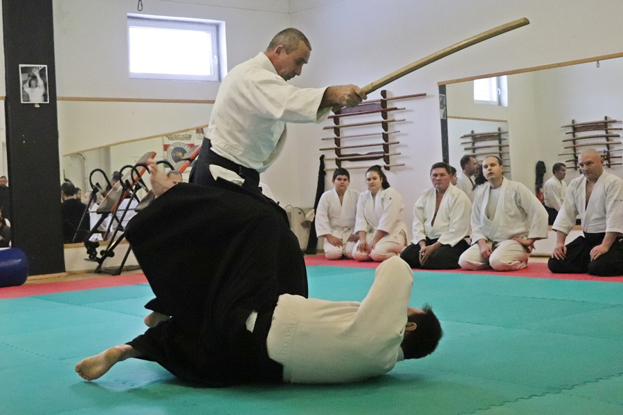 Keménység, fegyelem, aikido (galéria)