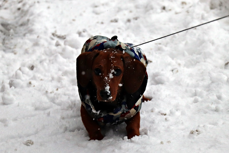Behavaztunk, fehérbe öltözött Kiskunhalas (galéria)