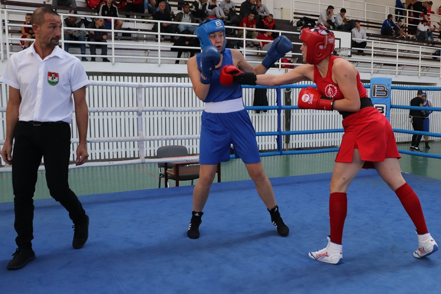 Halasi Box Club: 6110 megszerzett pont