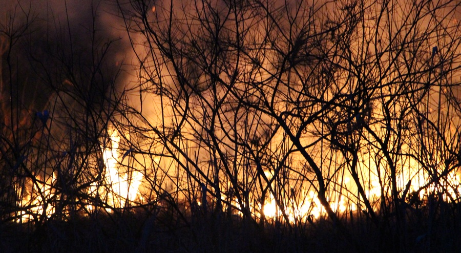 (►) Lángok több hektáron: akcióban a tűzoltóink