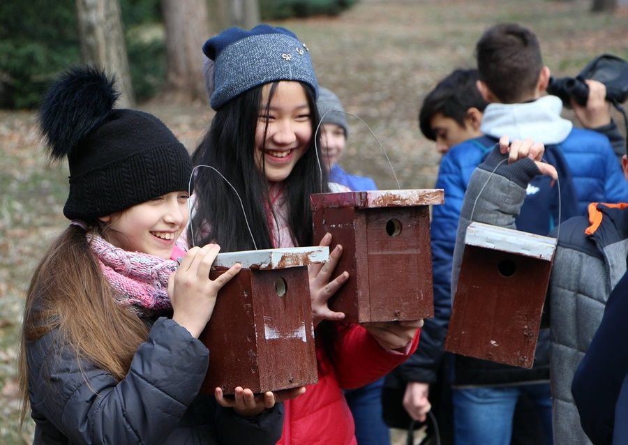 Madárodúkkal segítik a költést