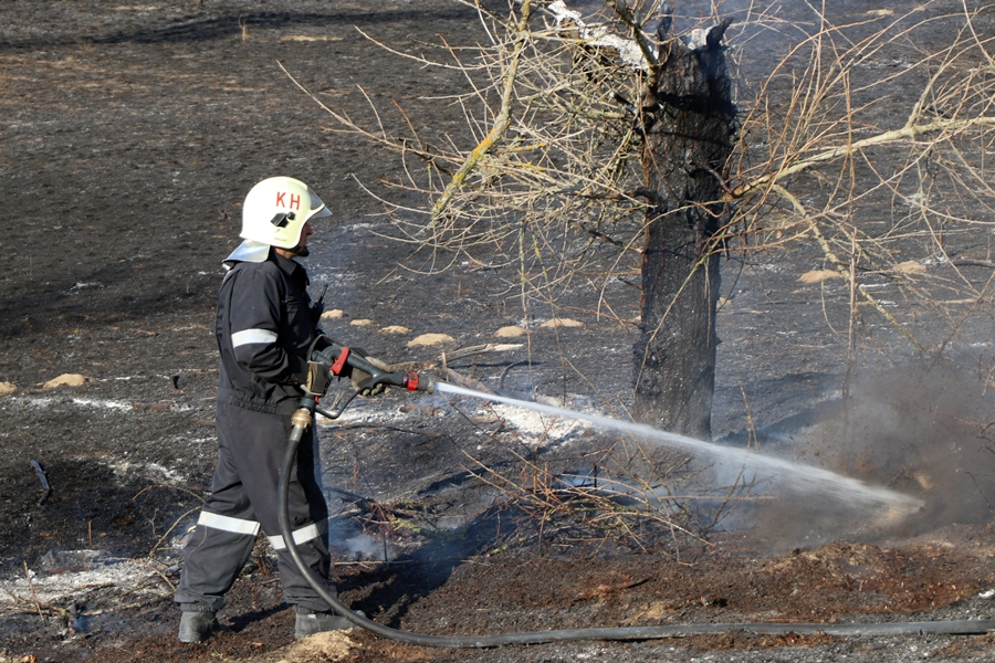(►)Több mint 22 hektáron puszított a tűz Alsószálláson (galéria)