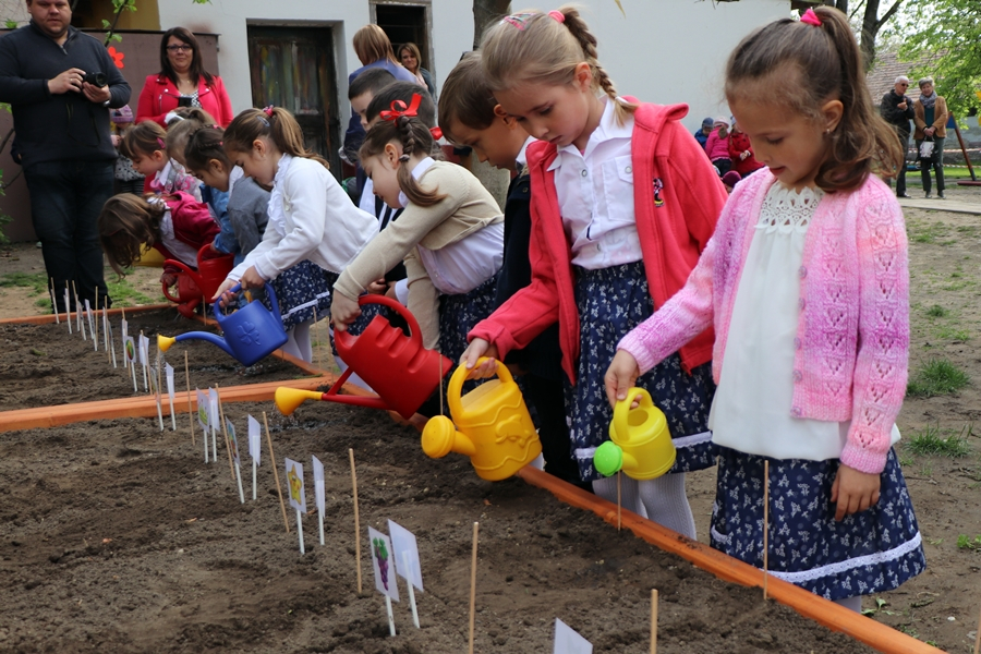 Kis gazdák a halasi ovikban (galéria)