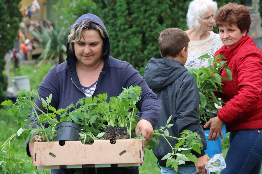 Indul a kertészkedés, átadták a palántákat (galéria)