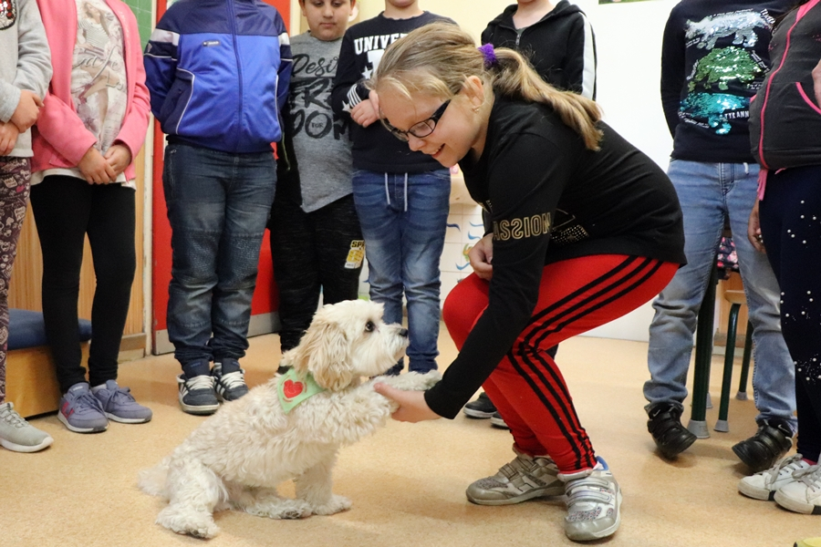 Maci motiválja a diákokat (galéria)