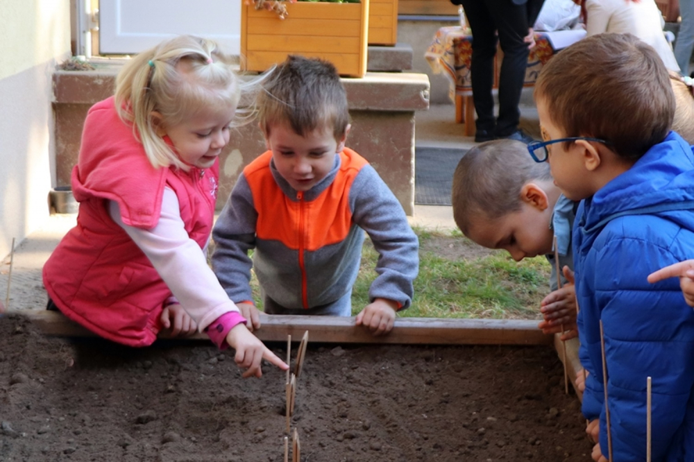 Óvodai kiskert-program 2.0 (galéria)