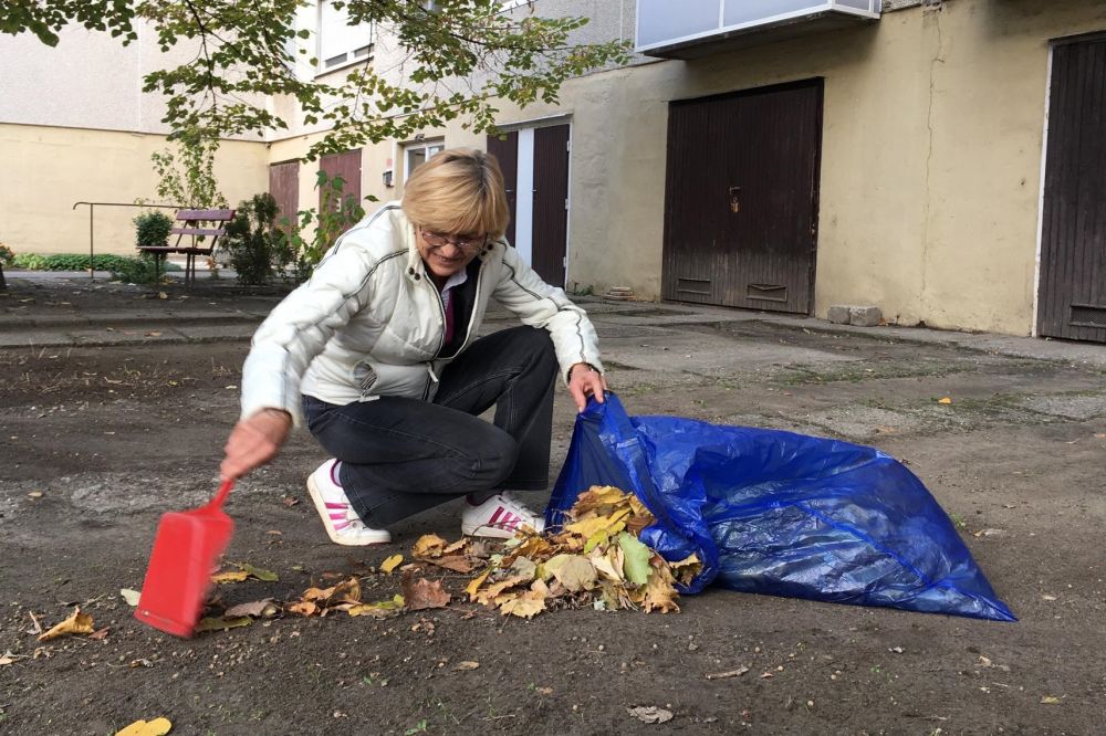 Eltömődnek a levéltől a csapadékcsatornák