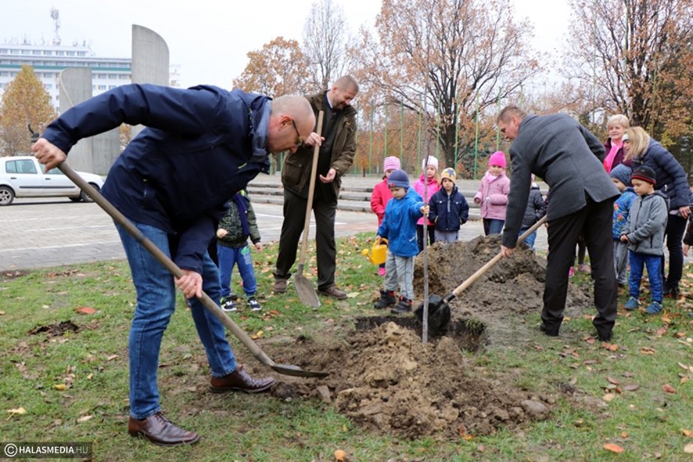 Halas is csatlakozott az országos faültetési programhoz (galéria)