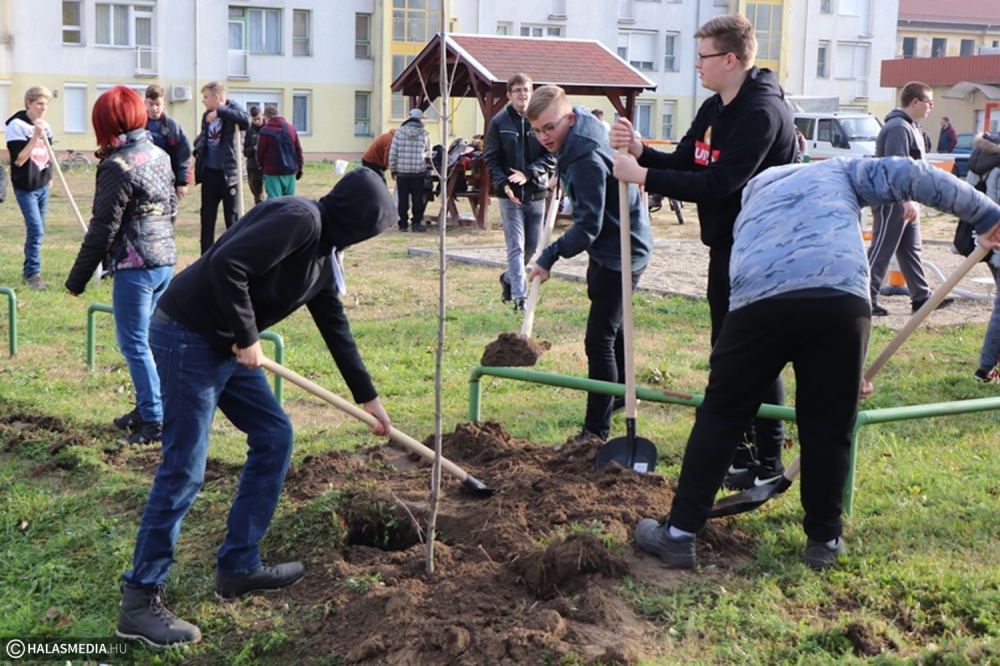  Facsemetéket ültettek a diákok (galéria)