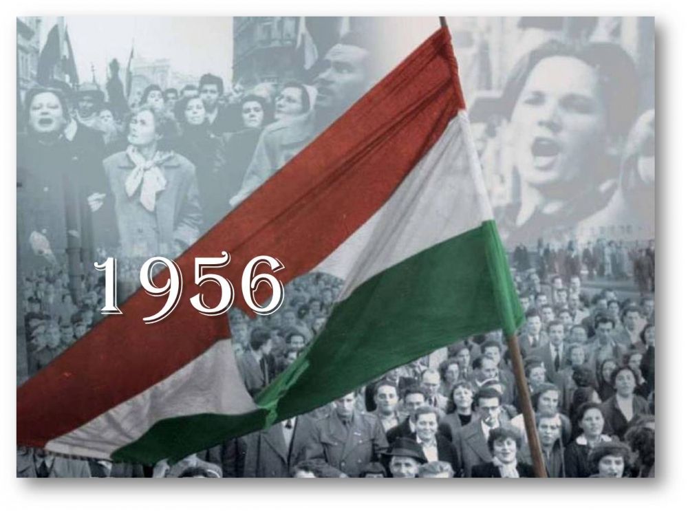 56-os programok Halason