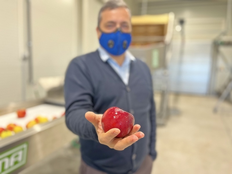 Átadták a jánoshalmi zöldség- és gyümölcsfeldolgozót