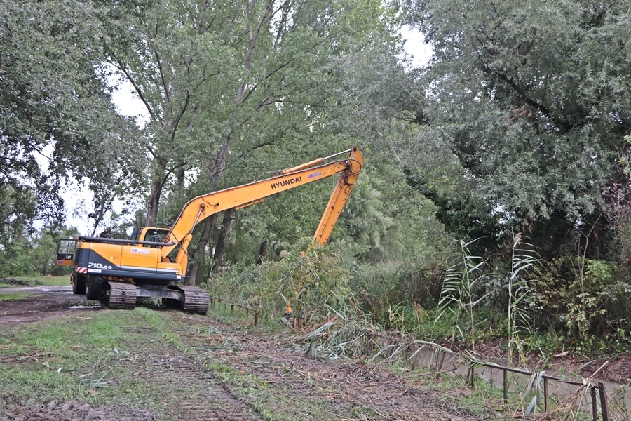 Befejeződött a sóstói mederkotrás