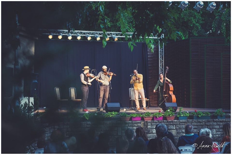 Folkest az Erdőfű zenekarral