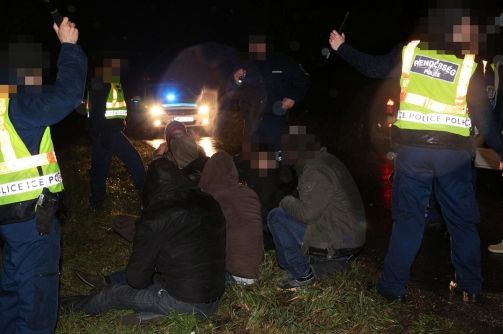 Őrizetben a vadkerti embercsempész