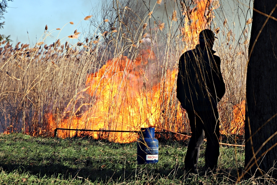 Óriási füst: irányított nádégetés Sóstón (galéria)