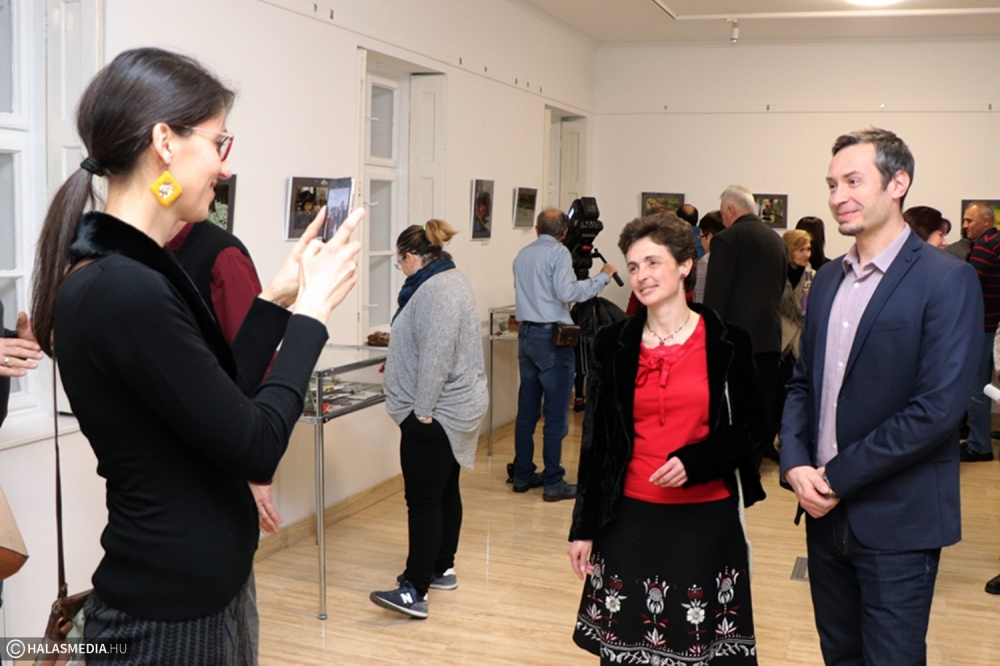 Az erdő kincsei fotókon a Csipkeházban (galéria)