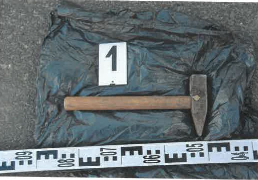 Elítélték a kisszállási, kalapácsos szarvasvadászokat