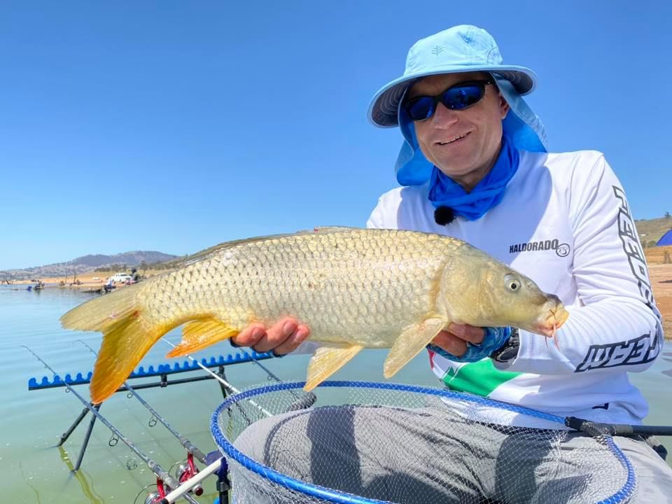 Döme Gábor nemzetközi sikere