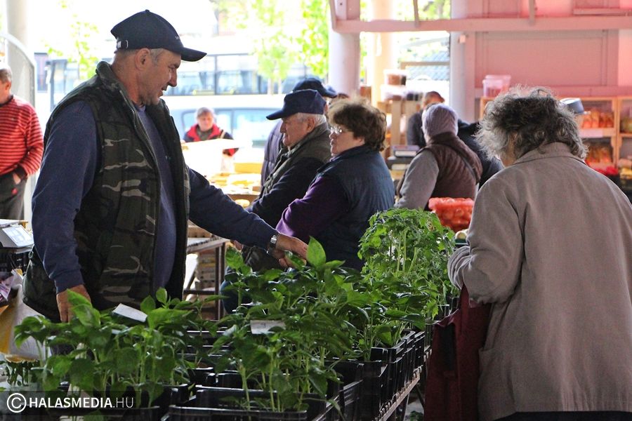 Hétfőn egyeztet a polgármester a piac további működéséről