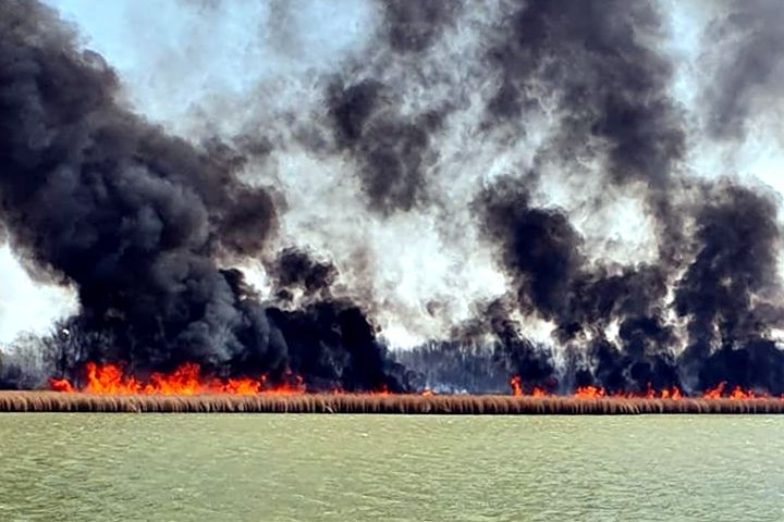 Ég a nádas a Vadkerti-tónál