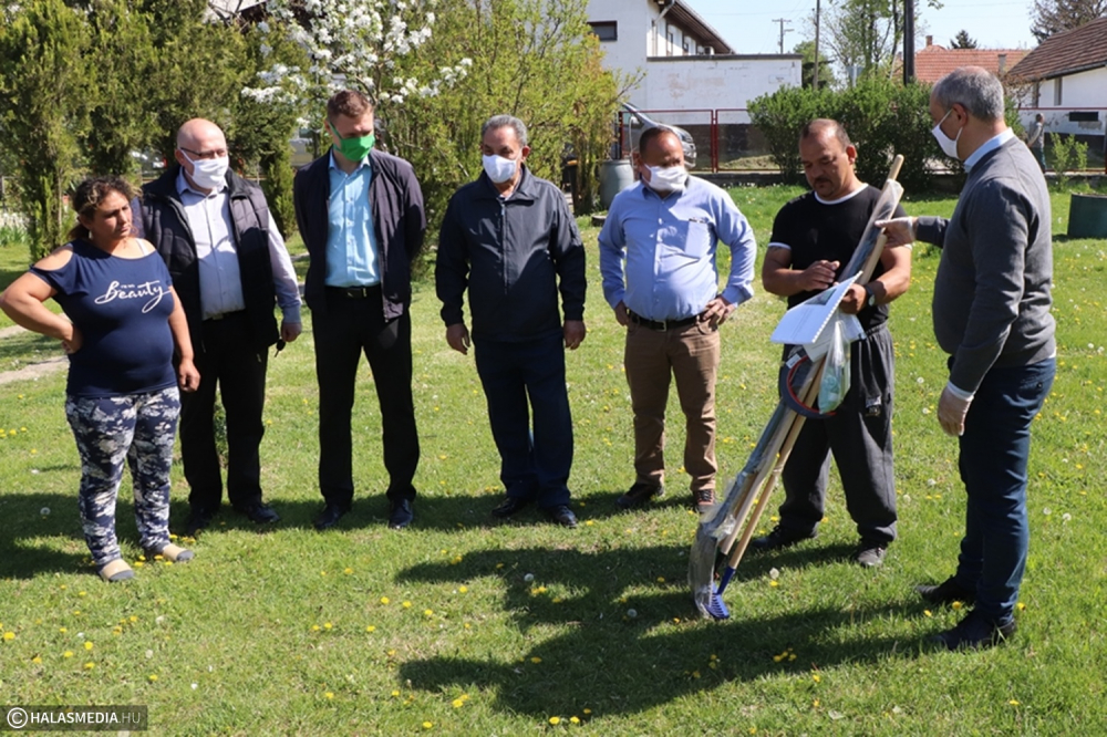 Maradj otthon, műveld a kerted Halason is! (galéria)