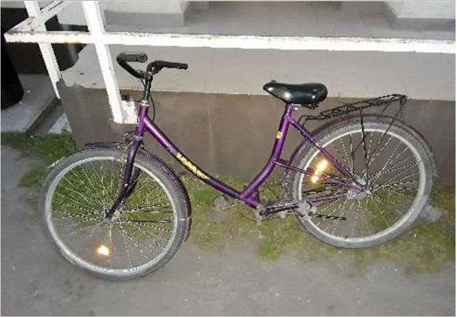 13 biciklit és díszpálmákat lopott a halasi férfi